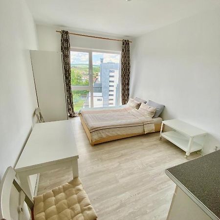 Cozy Studio Near The Center Of Cluj Bagian luar foto