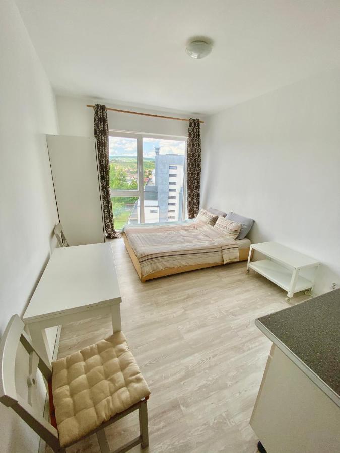 Cozy Studio Near The Center Of Cluj Bagian luar foto
